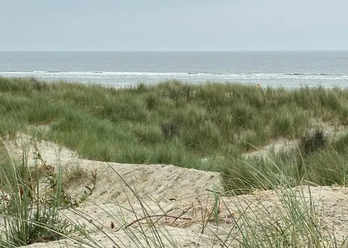 Ihr Zuhause In Ostfriesland